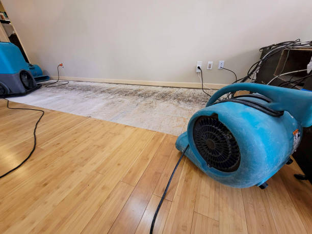 Reliable Basement Flood Cleanup contractor in Troy, NC by Hirex Water Damage