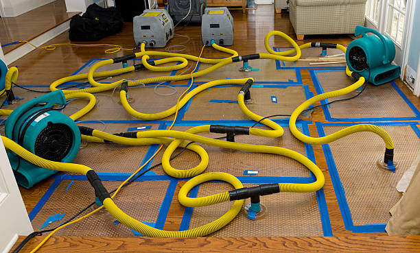 Professional Basement Flood Cleanup technician working in Troy, NC